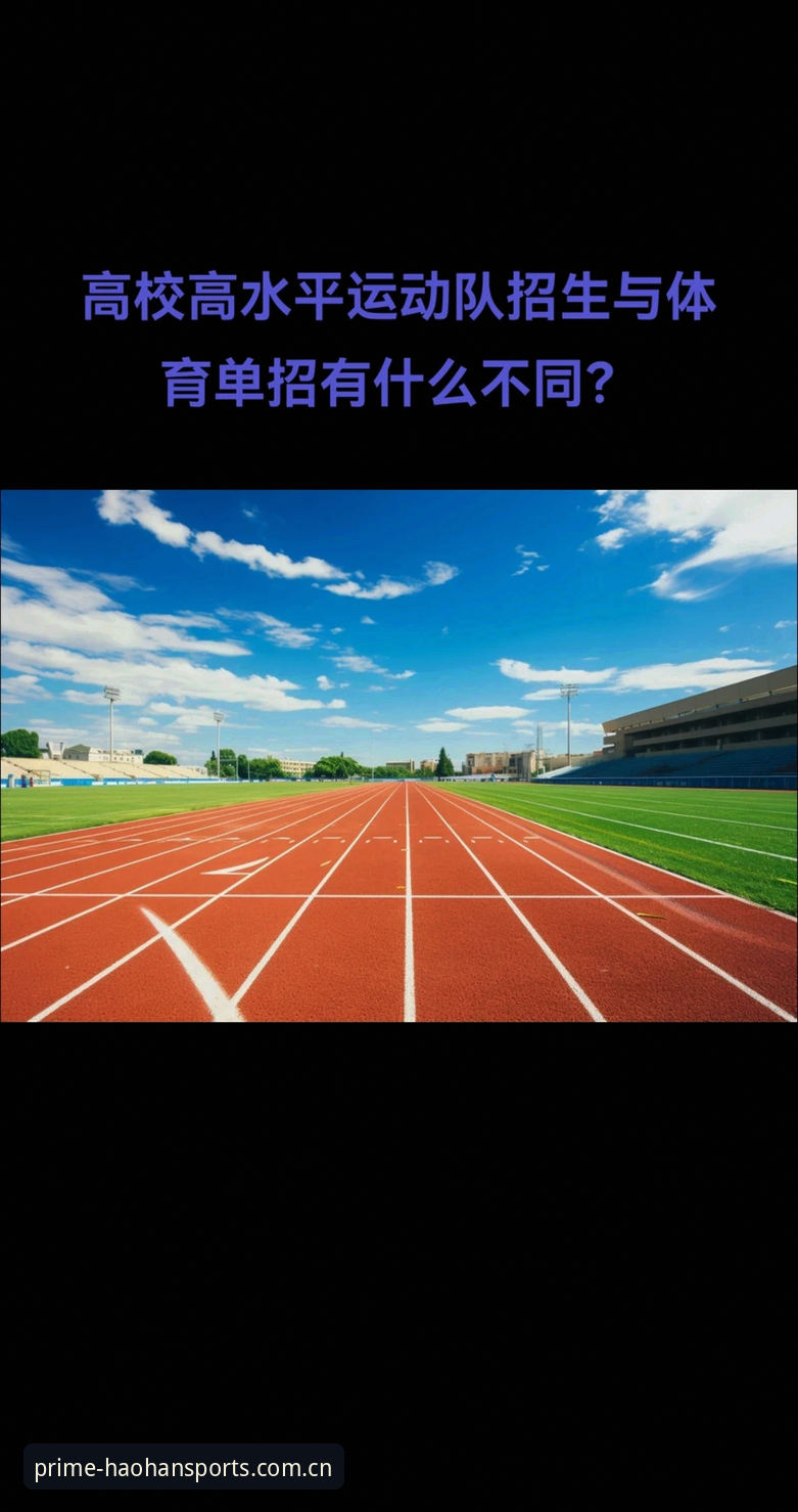 如何安全获取HH体育官网入口官方下载？技术评测员深度解析v3.0.5版本