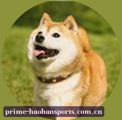 刘洋
